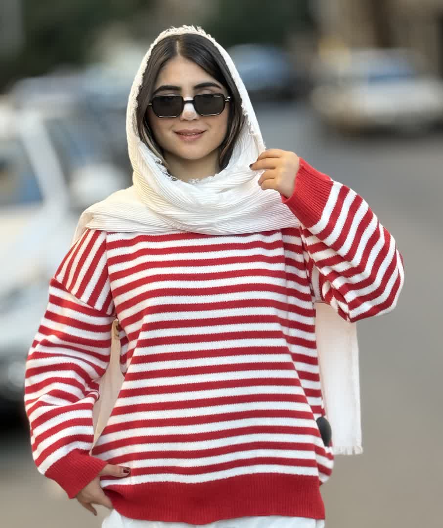 پولیور دیپلمات  2281